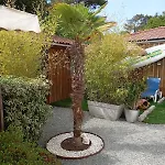 Casa vacanze Au Rocher De Pascal Ambiance Zen Sans Vis A Vis Montalivet les Bains