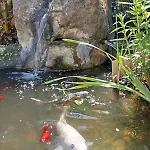 Au Rocher De Pascal Ambiance Zen Sans Vis A Vis * Montalivet les Bains
