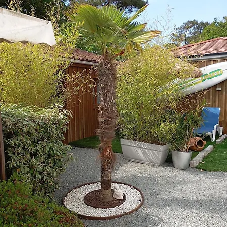 Feriehus Au Rocher De Pascal Maison 6 Personnes Montalivet-les-Bains