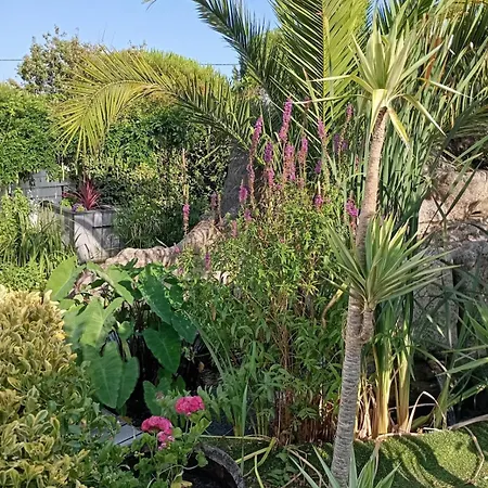 Au Rocher De Pascal Maison 6 Personnes Montalivet-les-Bains